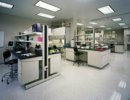 Evolution in bioTech Lab