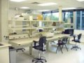 Evolution System in lab environment