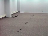 Trim carpet around any protruding objects or posts